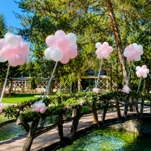 Baby Shower in Razkritje spola balonska dekoracija
